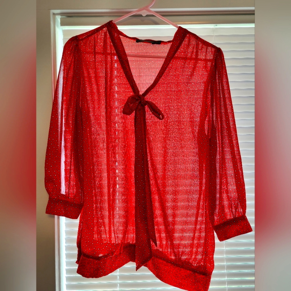 Red Blouse from The Limited, size large